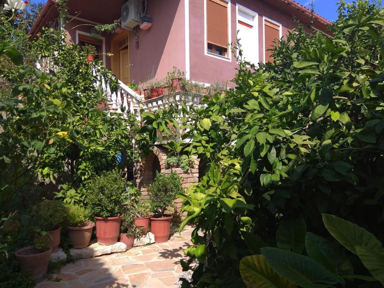 Guesthouse Hlias Gloria Берат Екстер'єр фото
